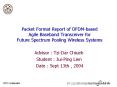Packet Format Report of OFDMbased Agile Baseband Transceiver for Future Spectrum Pooling Wireless Sy
