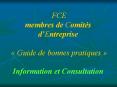 FCE membres de Comits dEntreprise Guide de bonnes pratiques Information et Consultation