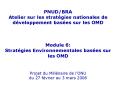 PNUDBRA Atelier sur les stratgies nationales de dveloppement bases sur les OMD Module 6: Stratgies E