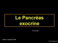 10courspancreas1