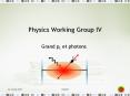 Physics Working Group IV