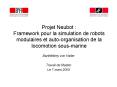Projet Neubot : Framework pour la simulation de robots modulaires et autoorganisation de la locomoti