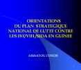ORIENTATIONS DU PLAN STRATEGIQUE NATIONAL DE LUTTE CONTRE LES ISTVIH SIDA EN GUINEE