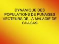 DYNAMIQUE DES POPULATIONS DE PUNAISES VECTEURS DE LA MALADIE DE CHAGAS