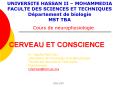 CERVEAU ET CONSCIENCE
