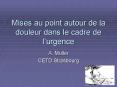 Mises au point autour de la douleur dans le cadre de lurgence