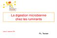 La digestion microbienne chez les ruminants
