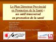 Le Plan Directeur Provincial en Promotion de la Sant : un outil transversal en promotion de la sant