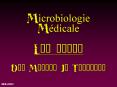 Microbiologie Mdicale Les virus Dr' Michel J' Tremblay