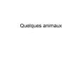 Quelques animaux