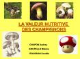 LA VALEUR NUTRITIVE DES CHAMPIGNONS