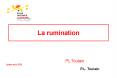 La rumination