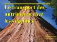 Aucun titre de diapositive
