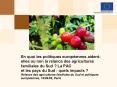 En quoi les politiques europennes aidentelles ou non la relance des agricultures familiales du Sud L