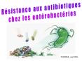 Diapositive 1