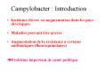 Campylobacter : Introduction