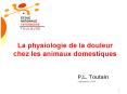 La physiologie de la douleur chez les animaux domestiques
