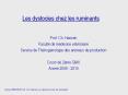 Les dystocies chez les ruminants