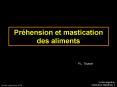 2coursingestionmasticationdeglutition 1