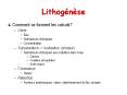 Lithognse