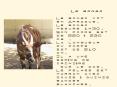 Prsentation PowerPoint