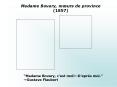 Madame Bovary, murs de province 1857