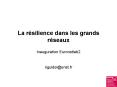 La rsilience dans les grands rseaux