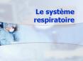 Le systme respiratoire