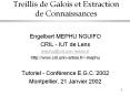 Treillis de Galois et Extraction de Connaissances