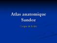 Atlas anatomique Sandoz