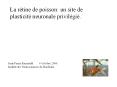 Plasticit neuronale