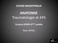 COURS MAGISTRAUX ANATOMIE Traumatologie et APS Licence STAPS 2me anne Yann SOYEZ