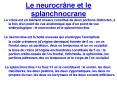 Le neurocrne et le splanchnocrane
