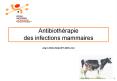 Antibiothrapie des infections mammaires