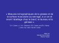 Mesures chographiques de la graisse et de la surface musculaire au sevrage, un an et avant labattag