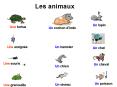 Les animaux