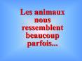 Les animaux nous ressemblent beaucoup parfois'''