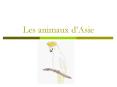 Les animaux dAsie
