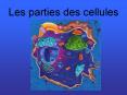 Les parties des cellules