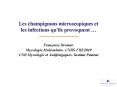 Les champignons microscopiques et les infections qu'ils provoquent