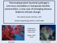 Thermodependent bacterial pathogens and mass mortalities in temperate benthic communities: a new cas