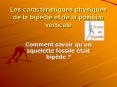 Les caractristiques physiques de la bipdie et de la position verticale
