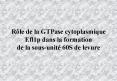 Rle de la GTPase cytoplasmique Efl1p dans la formation de la sousunit 60S de levure
