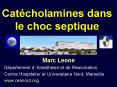 Catcholamines dans le choc septique