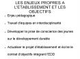 LES ENJEUX PROPRES A L'ETABLISSEMENT ET LES OBJECTIFS