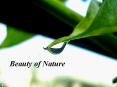 Beauty of Nature