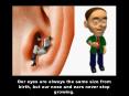Interesting Facts