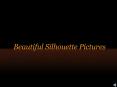 Beautiful Silhouette Pictures