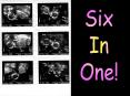 Six in One