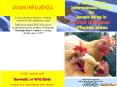 AVIAN INFLUENZA